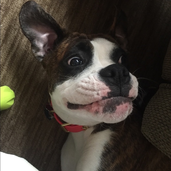 Meet your Posher, Andy - Picture 1 of 1